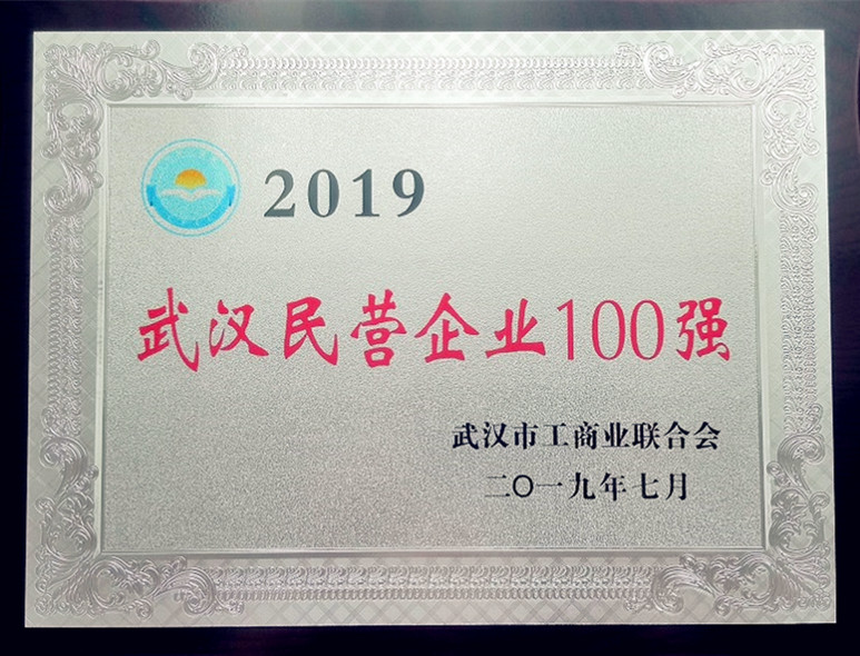 2019年武漢民營企業(yè)100強