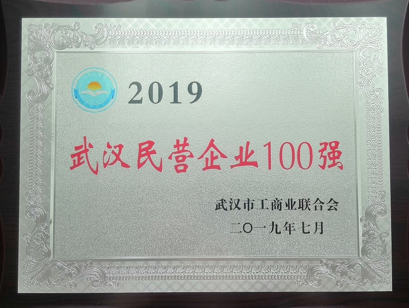 2019年武漢民營企業(yè)100強