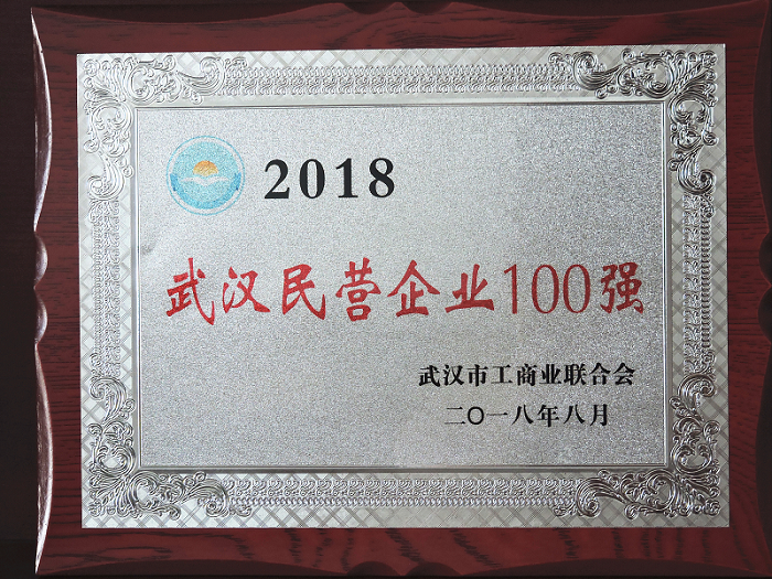 2018年武漢民營企業(yè)100強(qiáng)